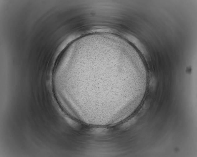 X0000101441282200808041206