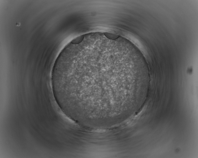 X0000101441283200808041206