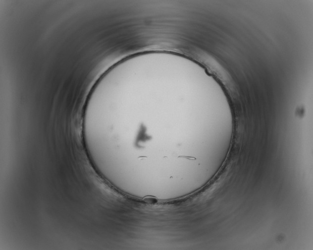 X0000101441284200808041206