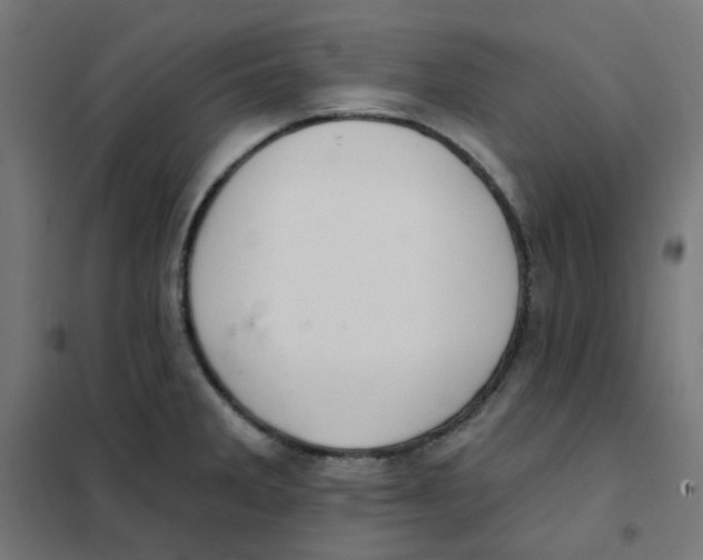 X0000101441285200808041206