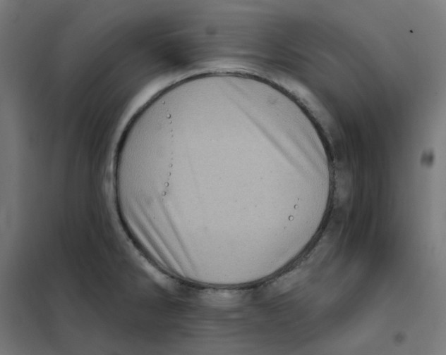 X0000101441286200808041206