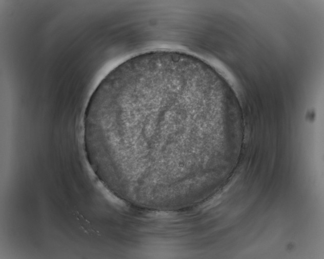 X0000101441287200808041206