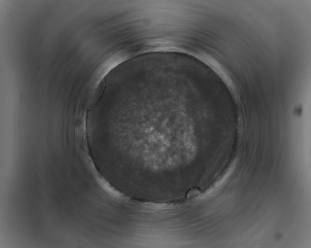 X0000101441289200808041206
