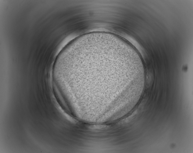 X0000101441290200808041206
