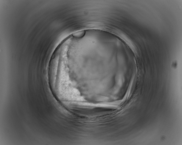 X0000101441291200808041206