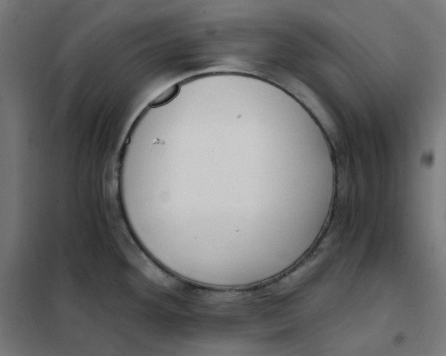 X0000101441292200808041206