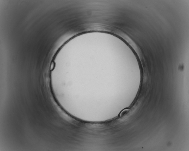 X0000101441293200808041206