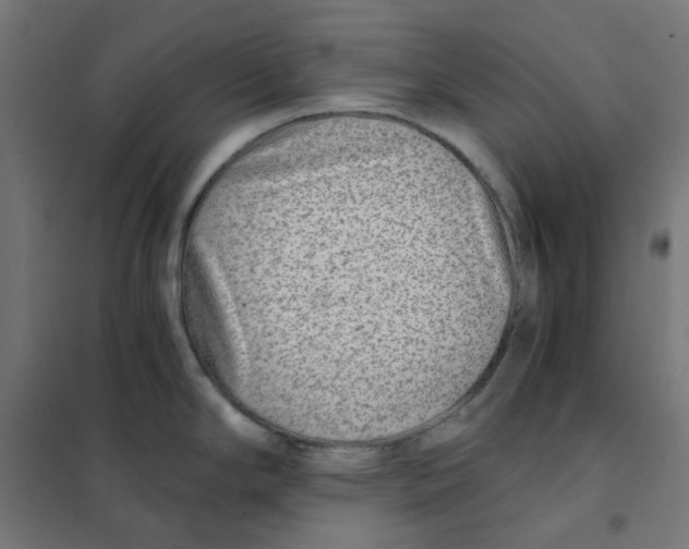 X0000101441294200808041206