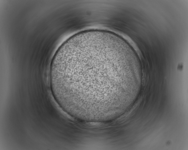 X0000101441295200808041206