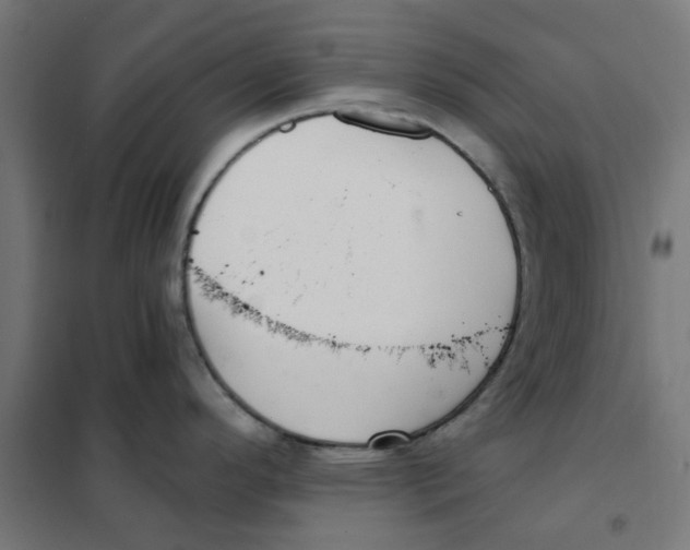 X0000101441296200808041206