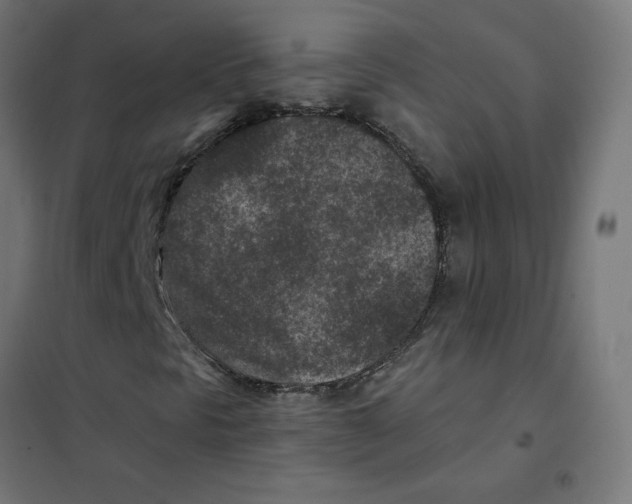 X0000101441297200808041205