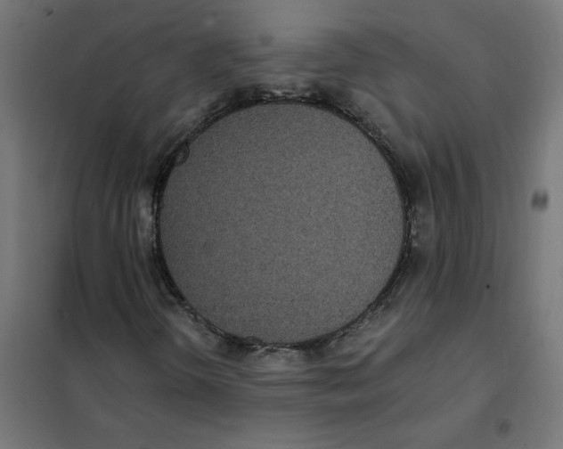 X0000101441298200808041205