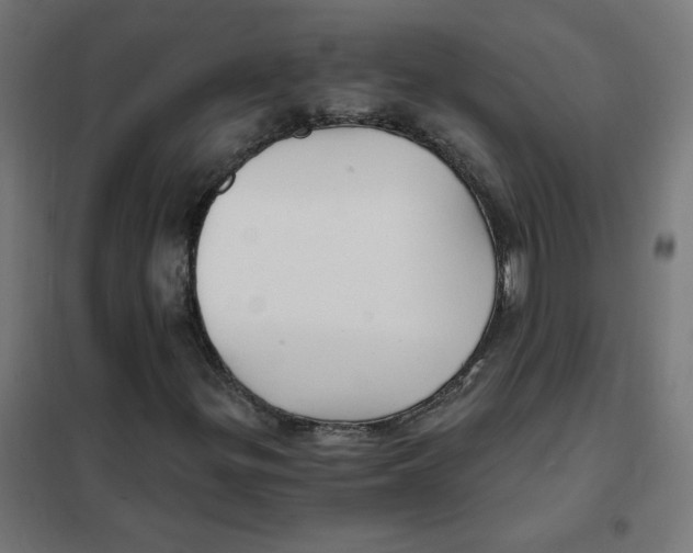 X0000101441299200808041205
