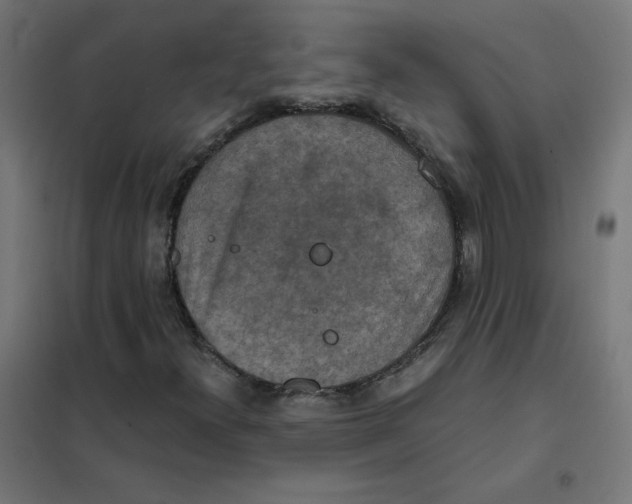 X0000101441300200808041205