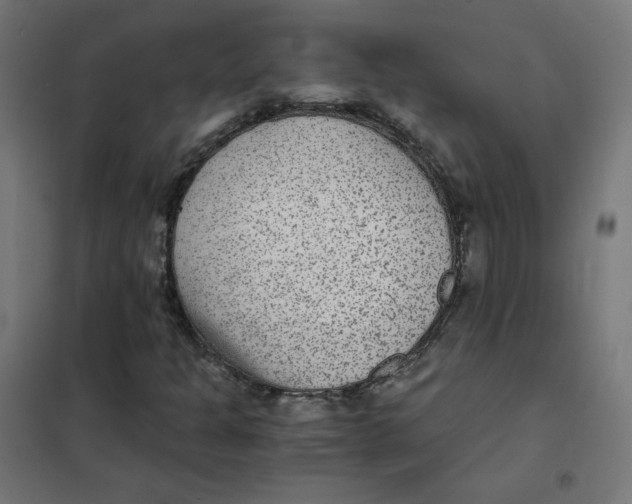 X0000101441301200808041205