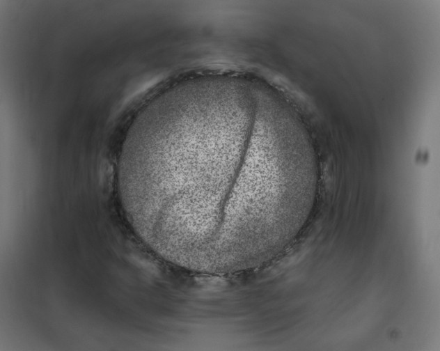 X0000101441302200808041205