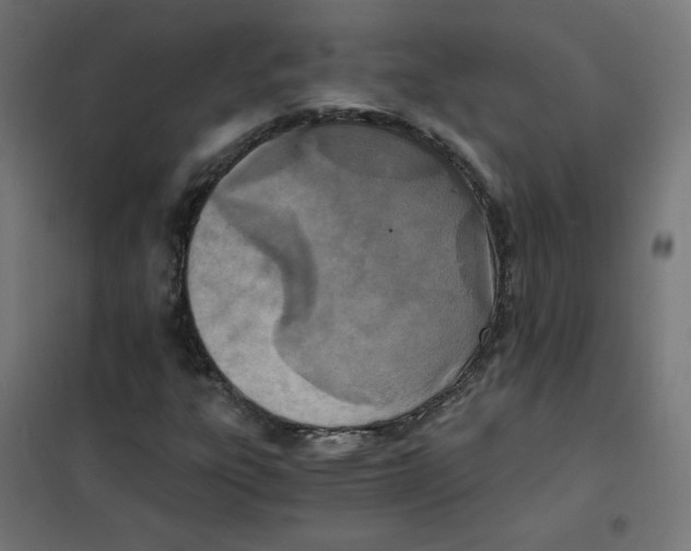 X0000101441303200808041205