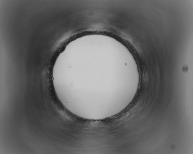 X0000101441304200808041205