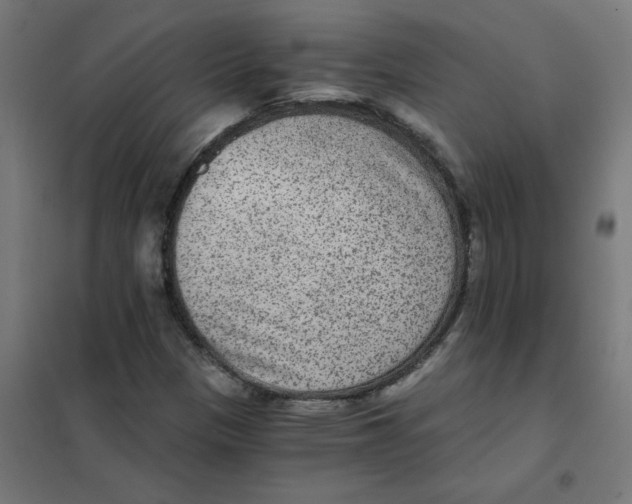 X0000101441305200808041205