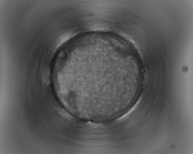 X0000101441306200808041205