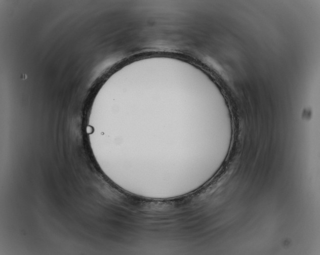 X0000101441307200808041205