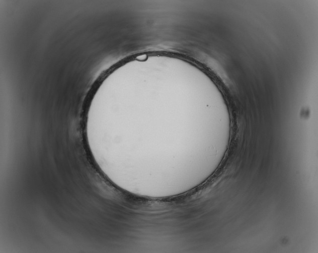 X0000101441308200808041205