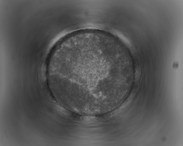 X0000101441310200808041205