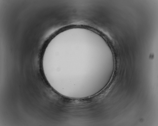 X0000101441311200808041205