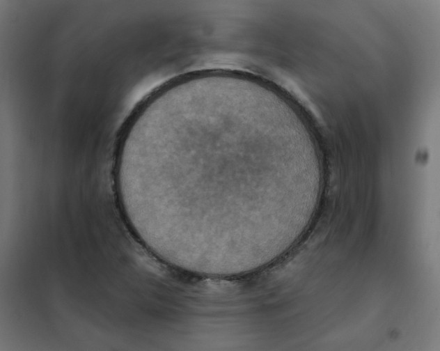 X0000101441312200808041205