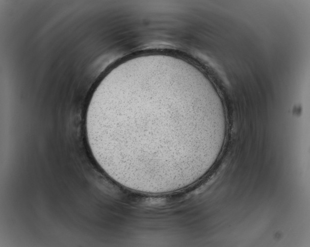 X0000101441313200808041205