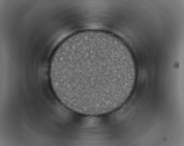 X0000101441314200808041205