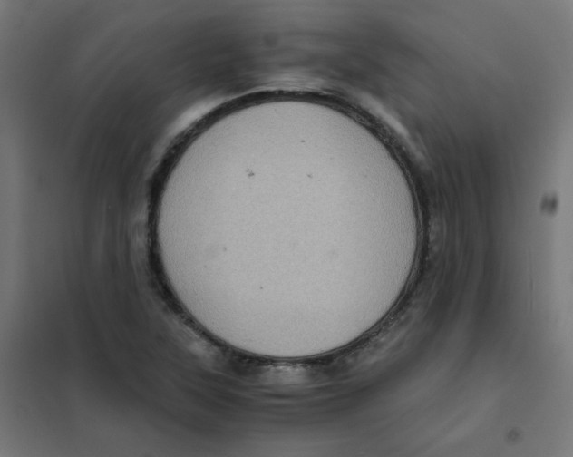 X0000101441315200808041205