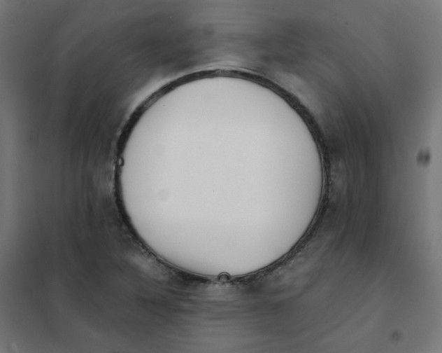 X0000101441316200808041205