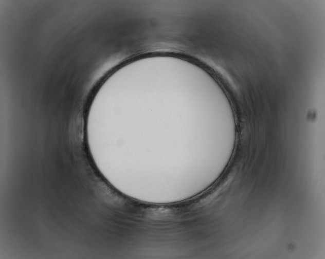 X0000101441317200808041205