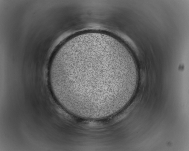 X0000101441318200808041205