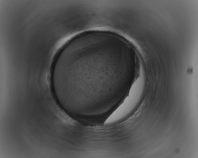 X0000101441319200808041205