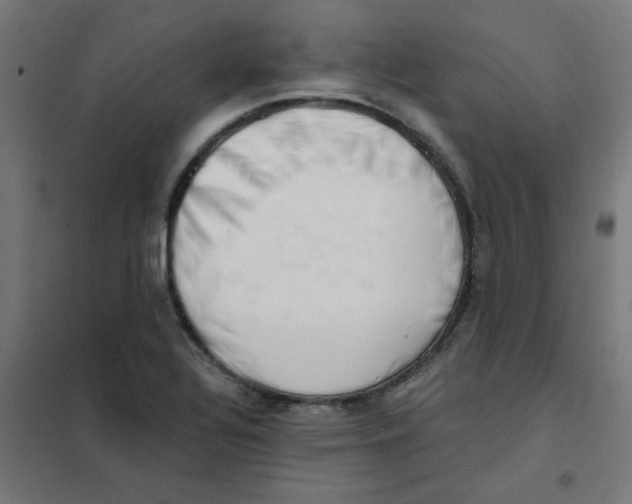 X0000101441320200808041205