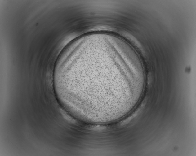 X0000101441321200808041205