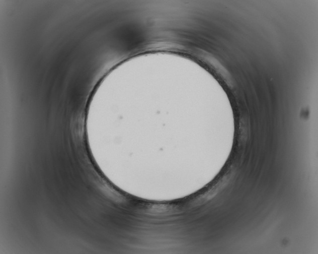X0000101441322200808041205