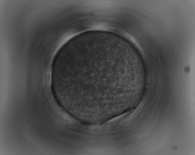 X0000101441323200808041205