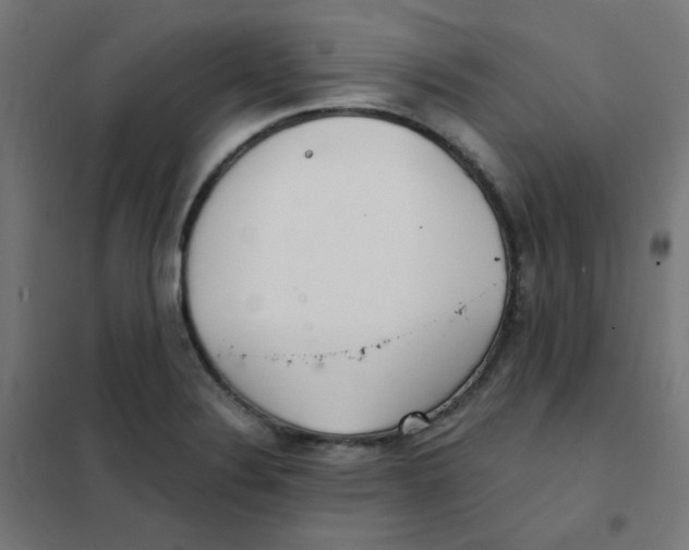 X0000101441324200808041205