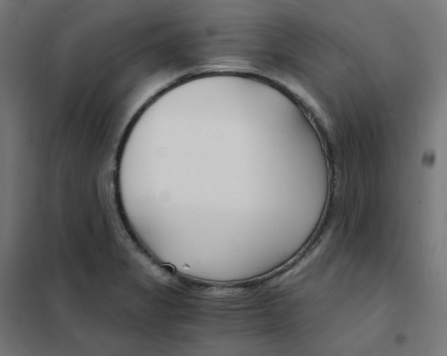 X0000101441325200808041206