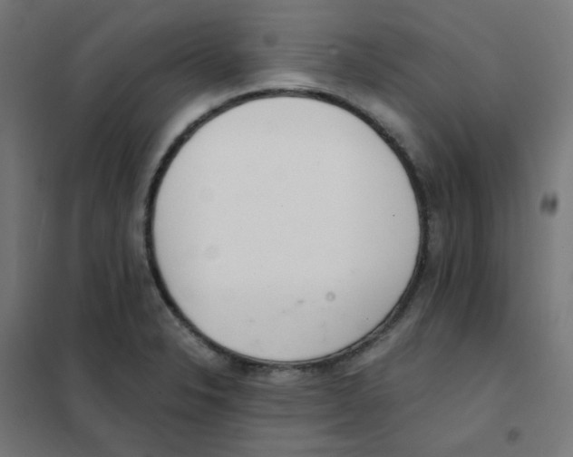X0000101441326200808041206