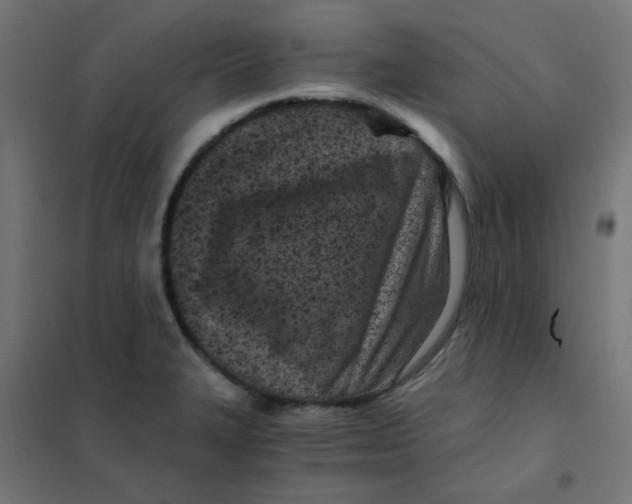 X0000101441327200808041206
