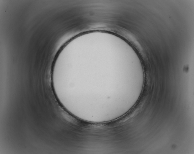 X0000101441328200808041206