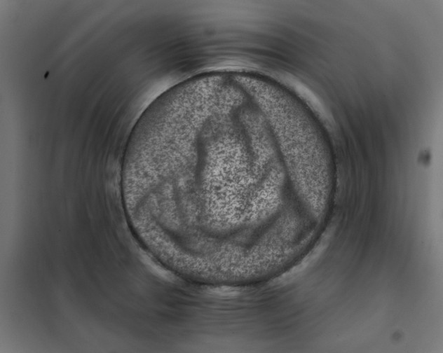 X0000101441329200808041206