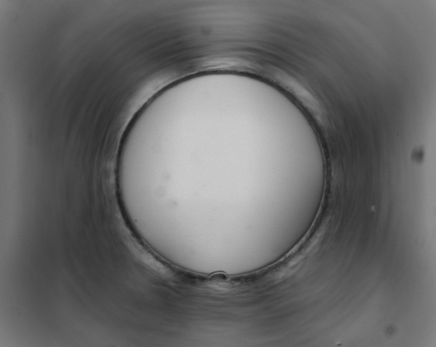 X0000101441330200808041206