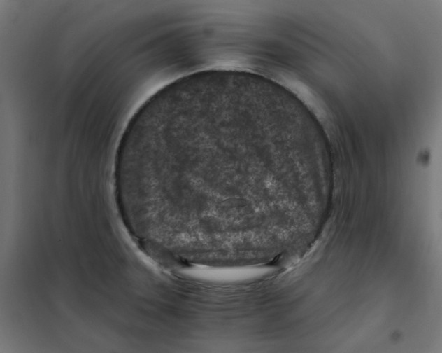 X0000101441331200808041206