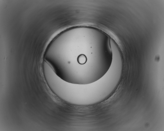 X0000101441332200808041206