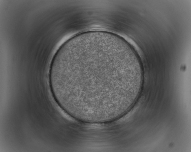 X0000101441333200808041206